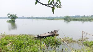 জলবায়ু পরিবর্তন: মাছের সঙ্গে ধান চাষ, জমির ব্যবহার ১২ মাস!